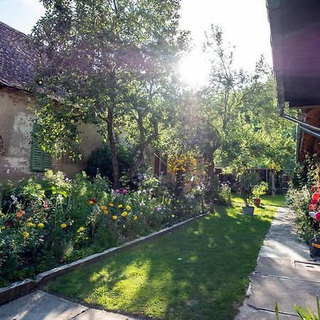 Villa Rihuini Eco Wine House Transylvania Richisu Exterior foto