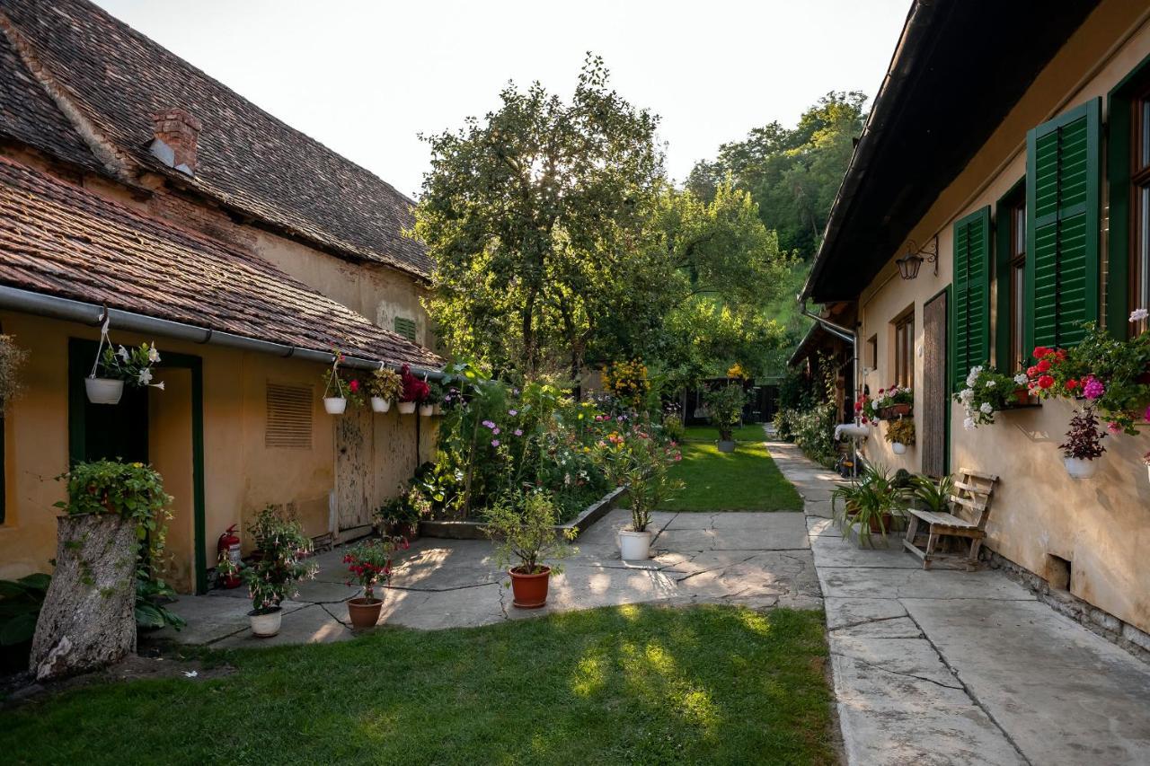 Villa Rihuini Eco Wine House Transylvania Richisu Exterior foto